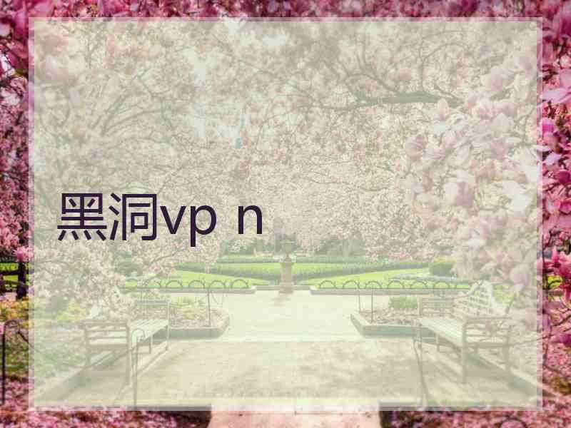 黑洞vp n