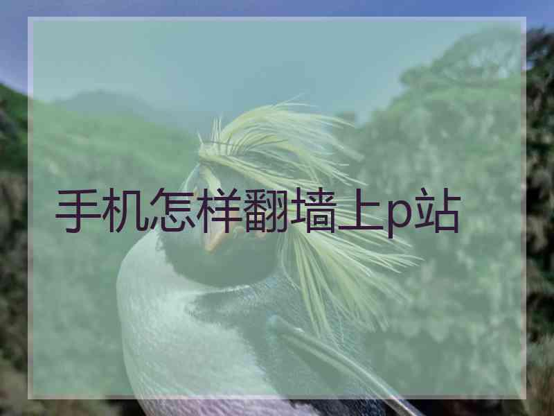 手机怎样翻墙上p站