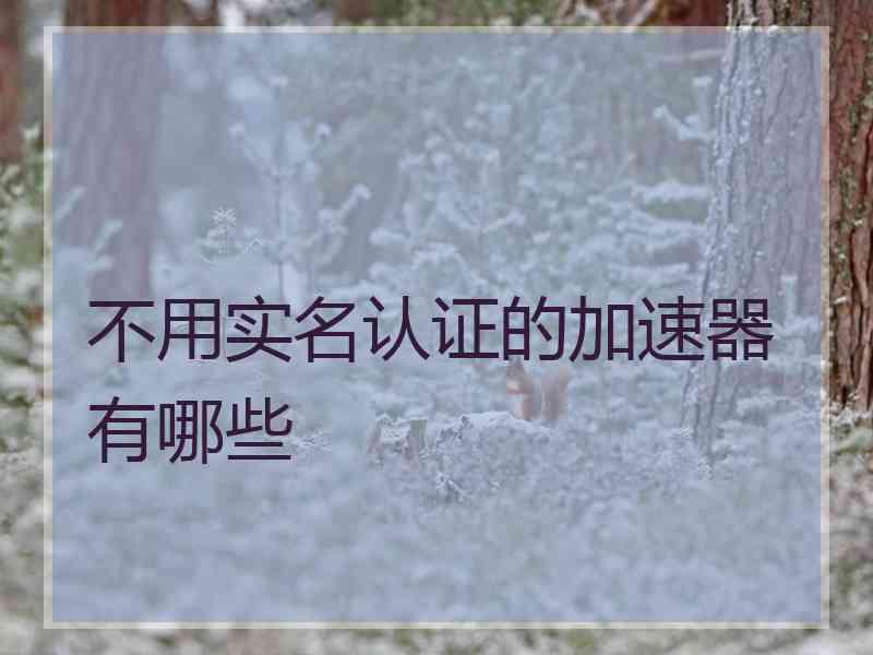 不用实名认证的加速器有哪些