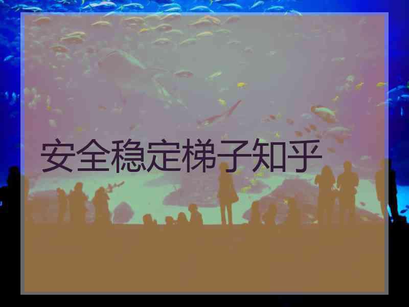 安全稳定梯子知乎