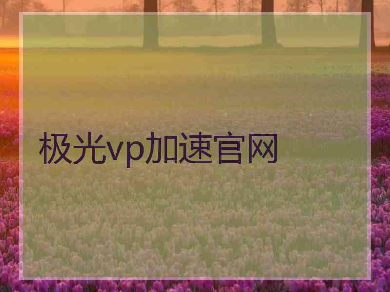 极光vp加速官网