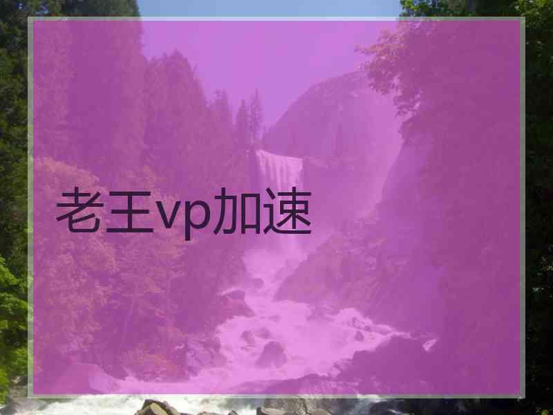 老王vp加速