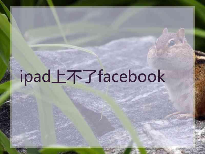 ipad上不了facebook