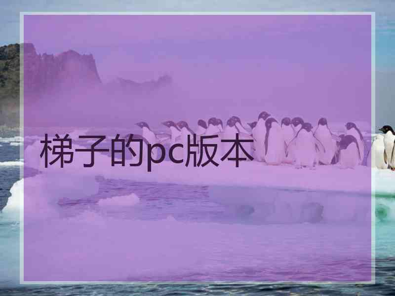 梯子的pc版本