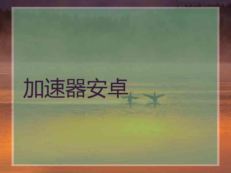 加速器安卓