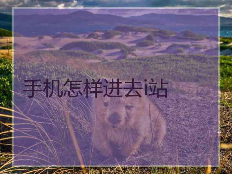手机怎样进去i站