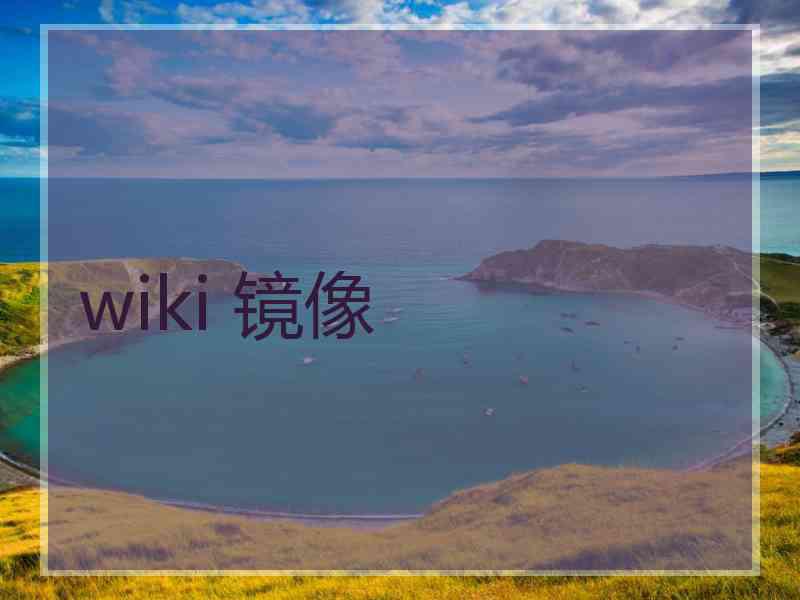 wiki 镜像