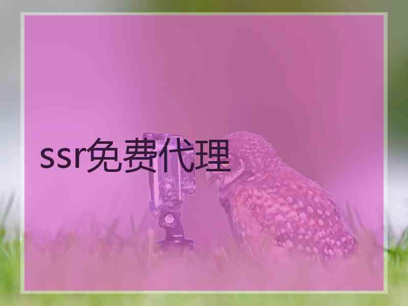 ssr免费代理