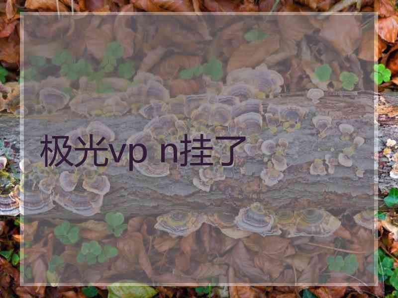 极光vp n挂了