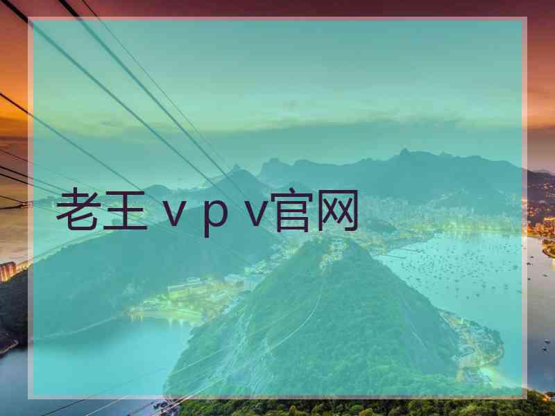 老王 v p v官网