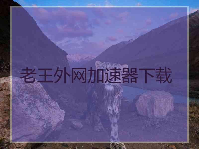 老王外网加速器下载