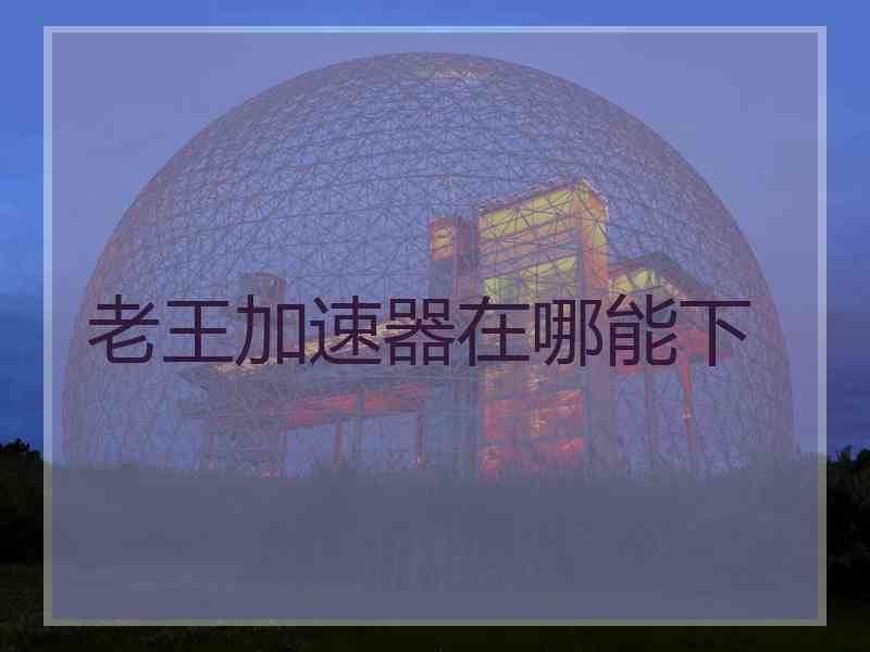 老王加速器在哪能下