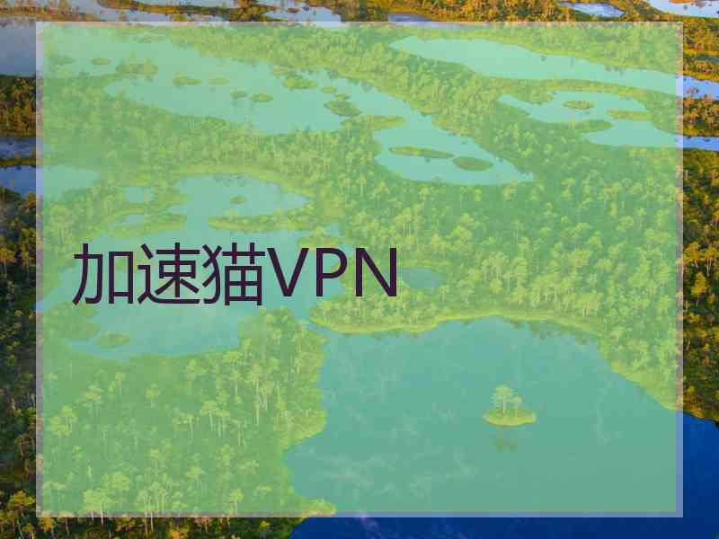 加速猫VPN