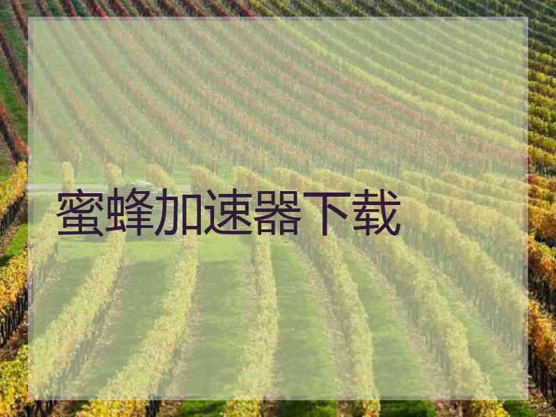 蜜蜂加速器下载