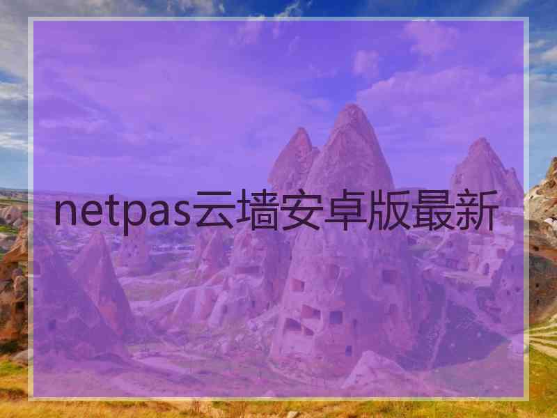 netpas云墙安卓版最新