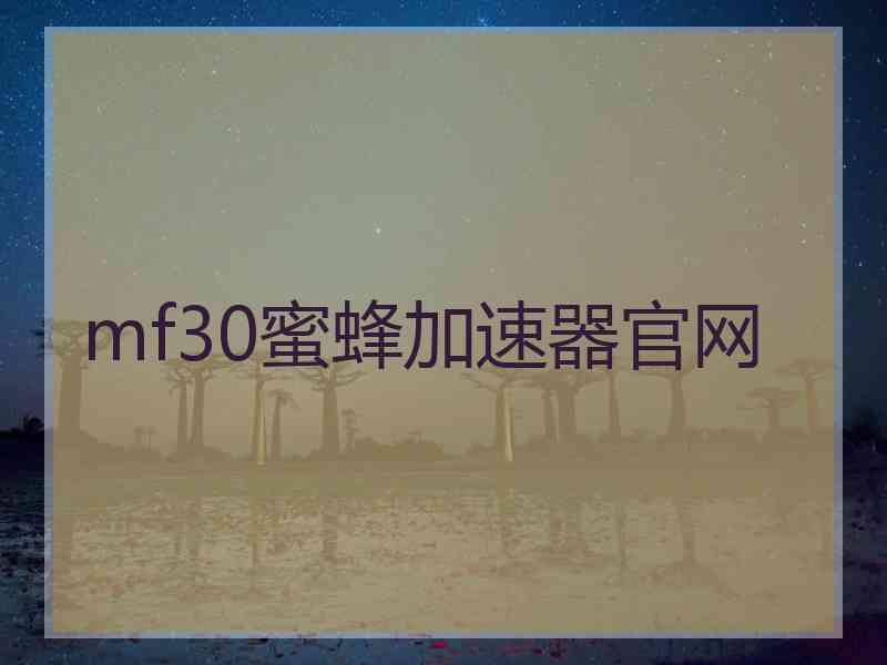 mf30蜜蜂加速器官网