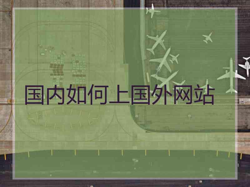 国内如何上国外网站