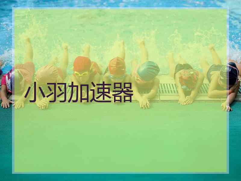 小羽加速器