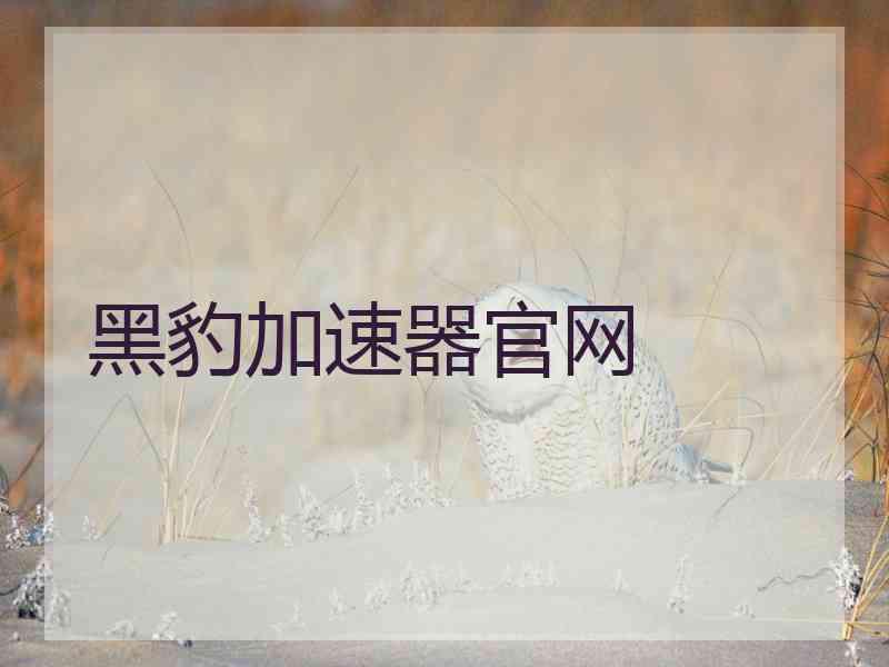 黑豹加速器官网