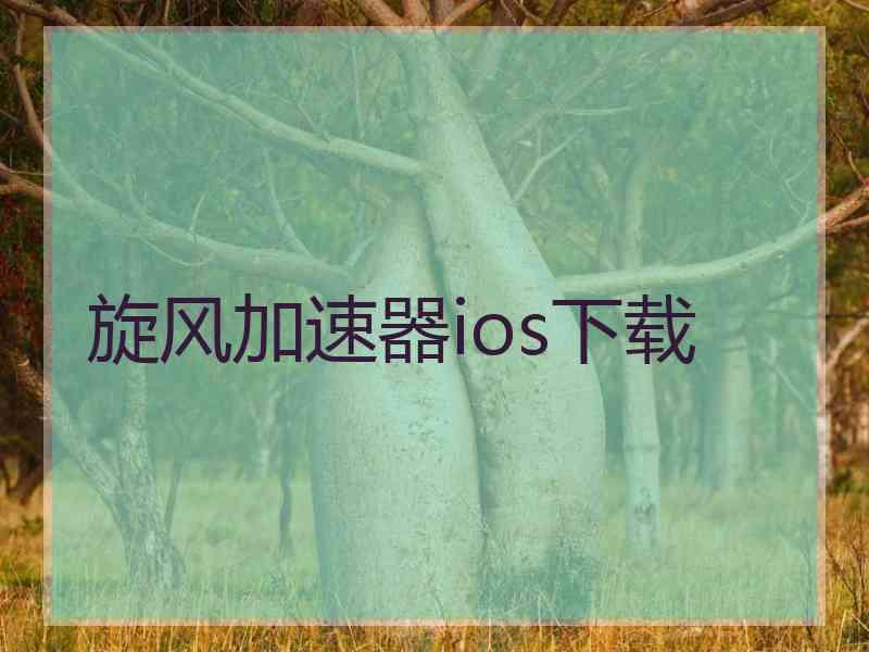 旋风加速器ios下载