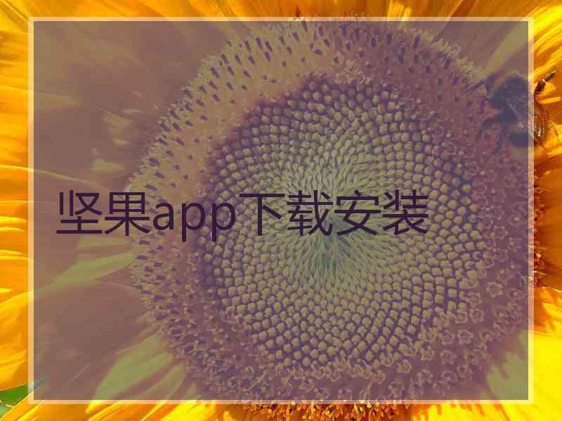坚果app下载安装