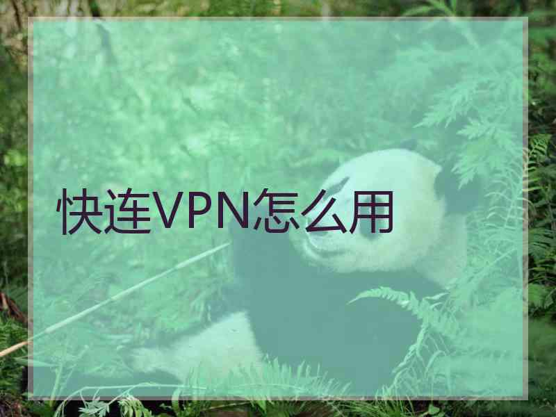 快连VPN怎么用