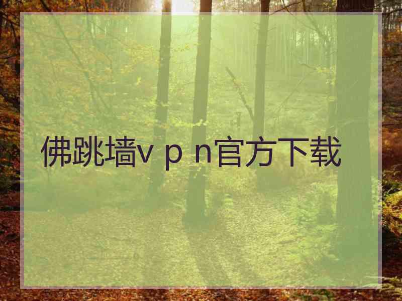 佛跳墙v p n官方下载