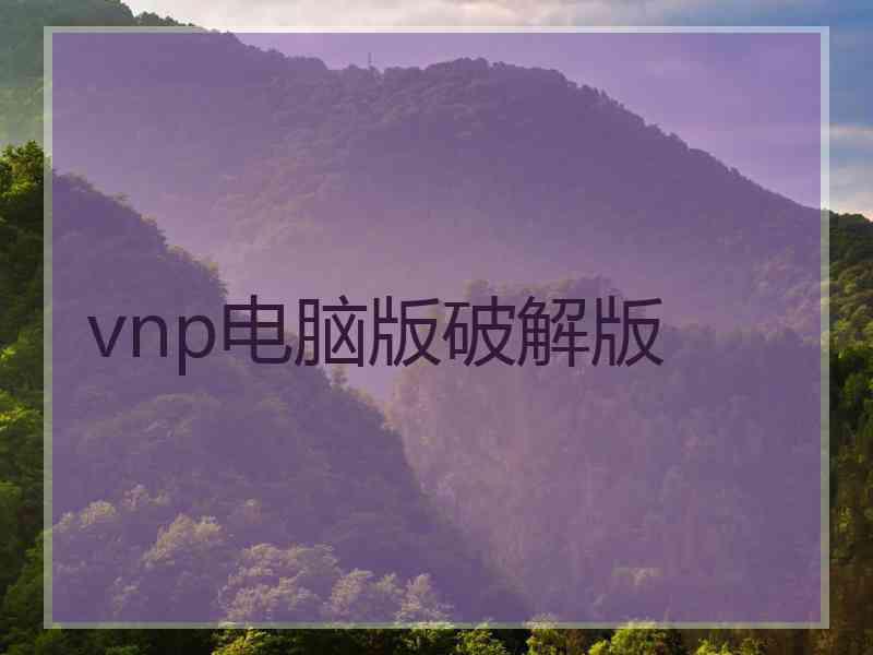 vnp电脑版破解版