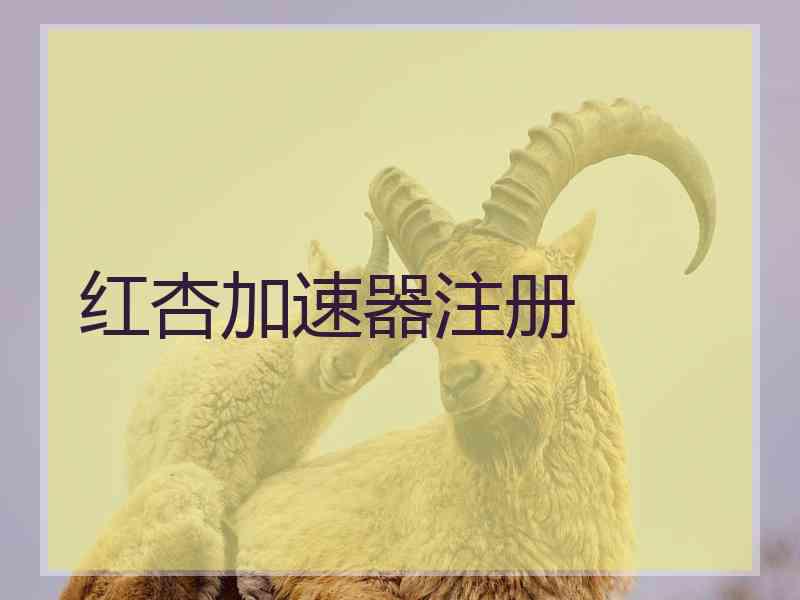 红杏加速器注册