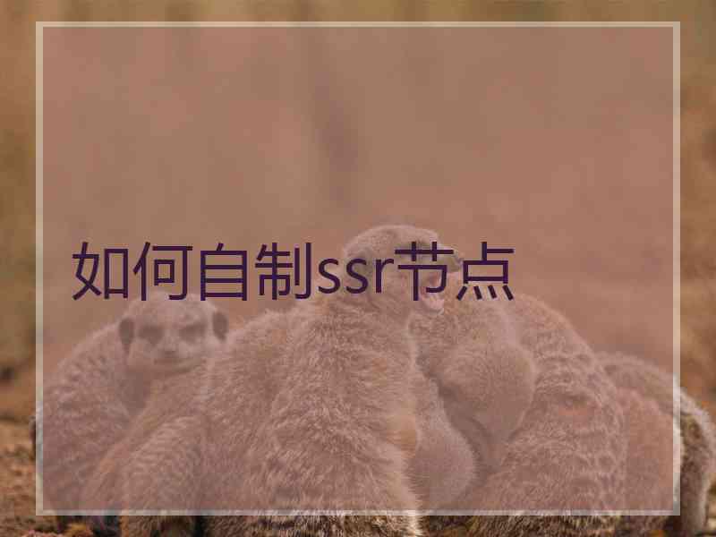 如何自制ssr节点