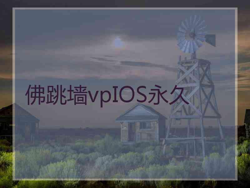 佛跳墙vpIOS永久