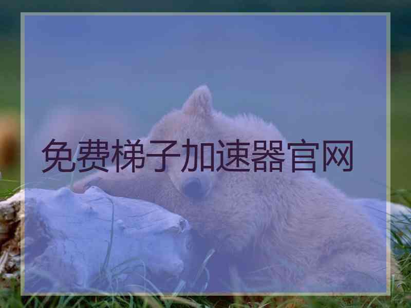 免费梯子加速器官网