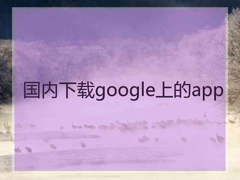 国内下载google上的app