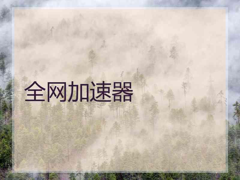 全网加速器