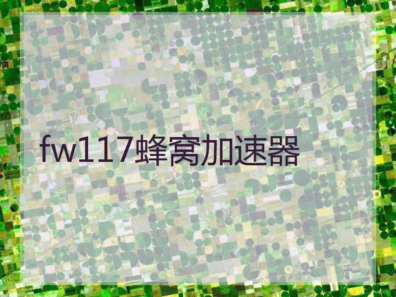 fw117蜂窝加速器