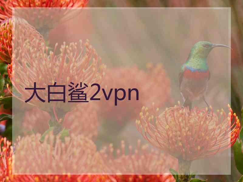 大白鲨2vpn