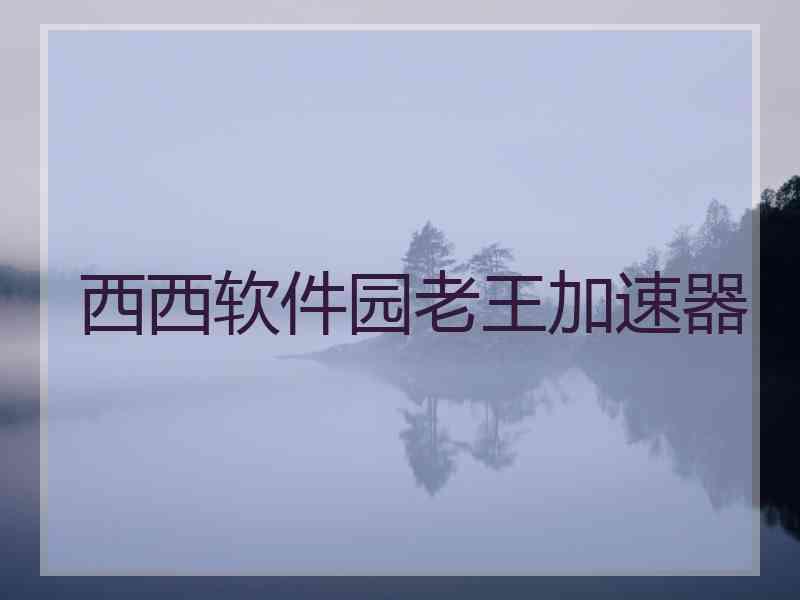 西西软件园老王加速器