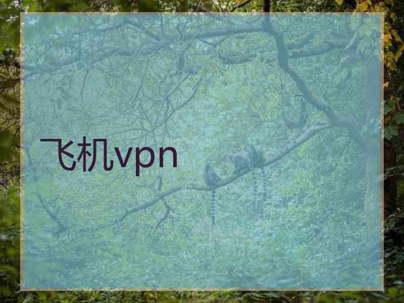 飞机vpn