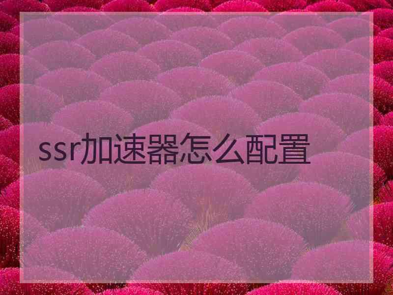 ssr加速器怎么配置
