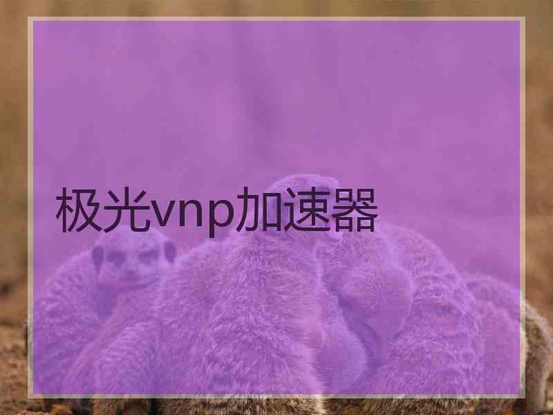 极光vnp加速器