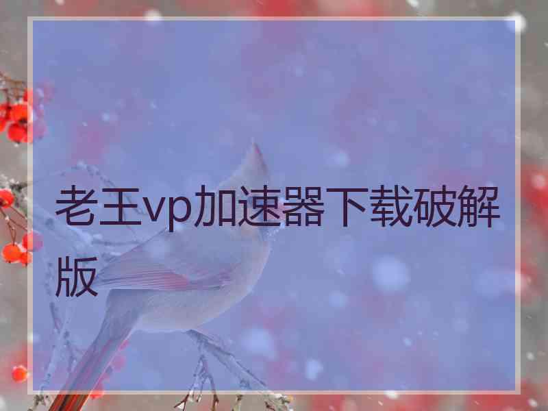 老王vp加速器下载破解版