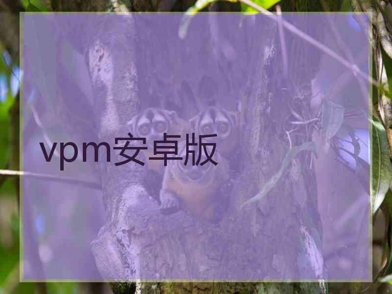 vpm安卓版