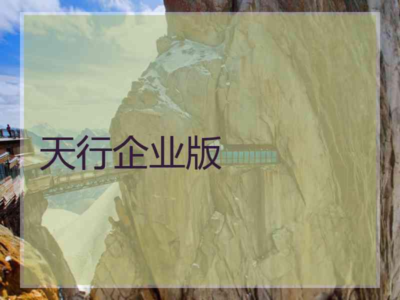 天行企业版