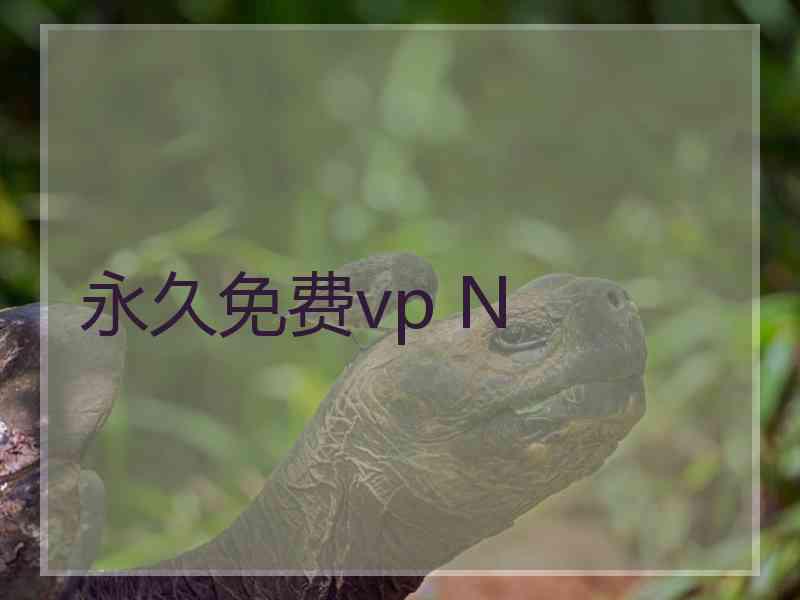 永久免费vp N