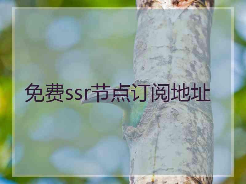 免费ssr节点订阅地址
