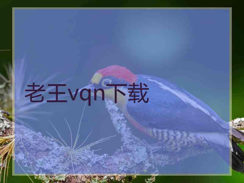 老王vqn下载