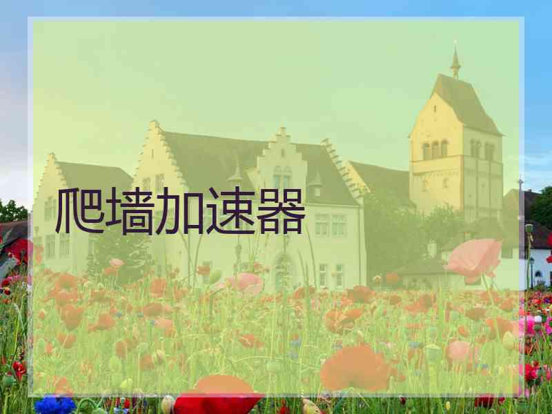 爬墙加速器