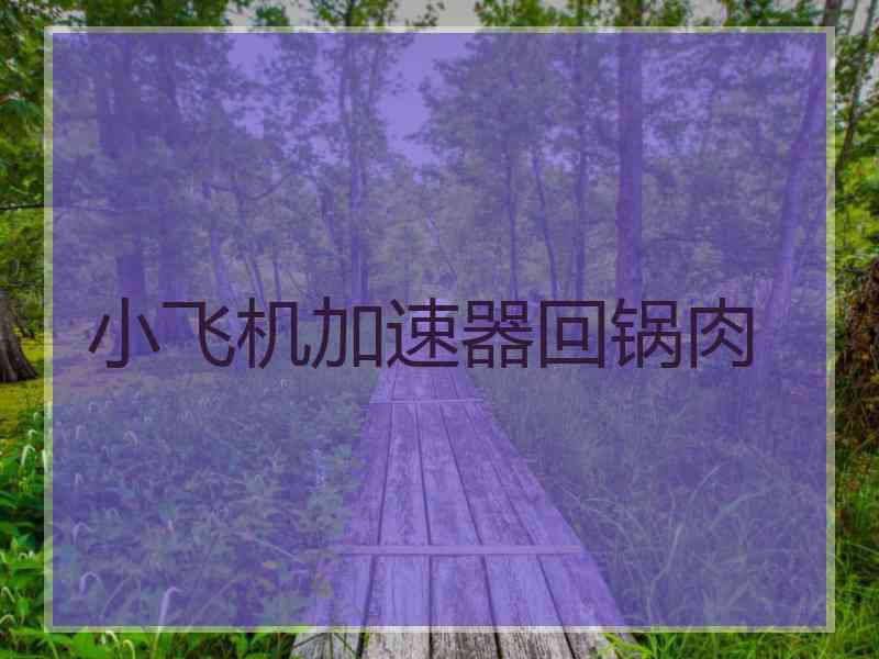 小飞机加速器回锅肉