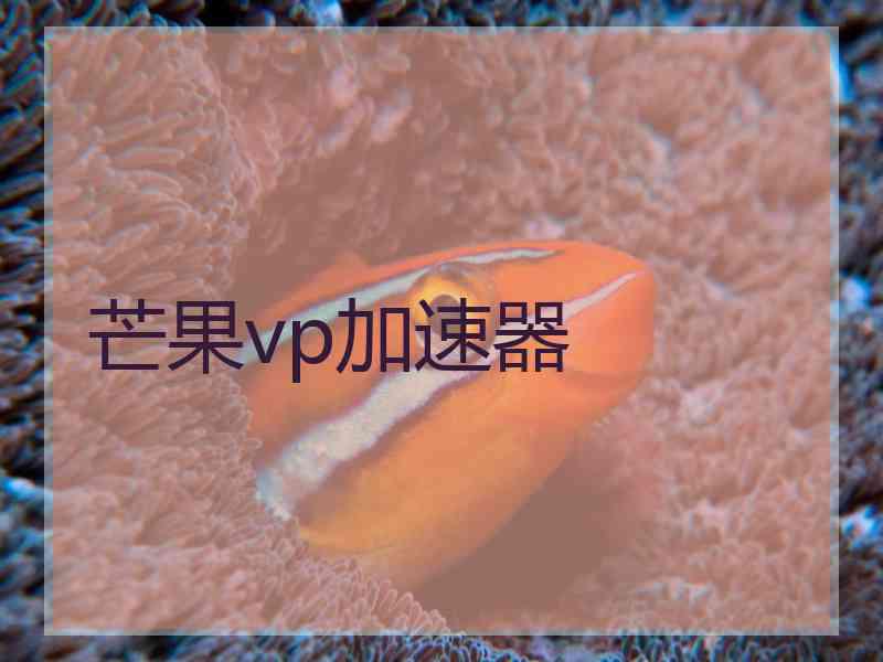 芒果vp加速器