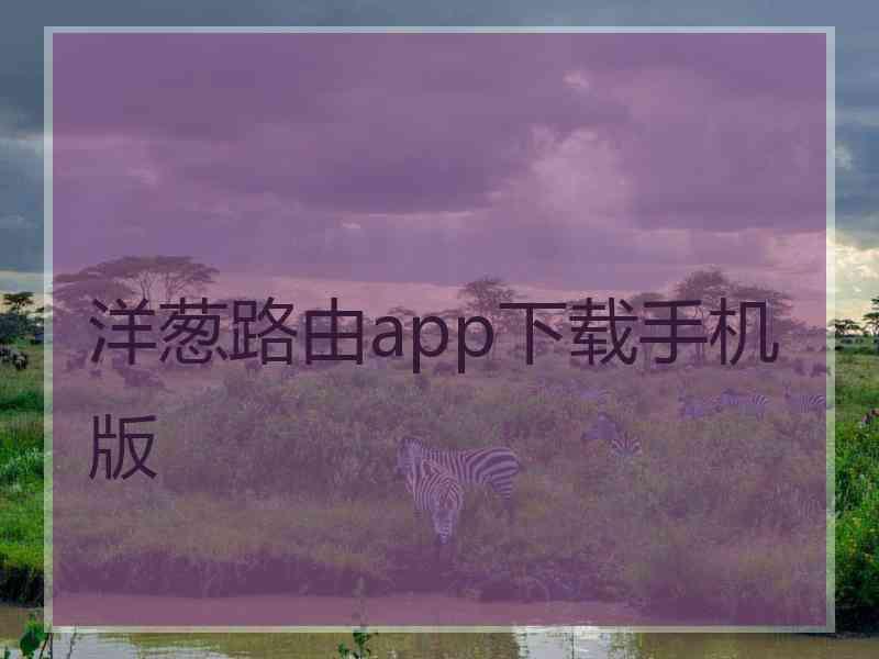 洋葱路由app下载手机版